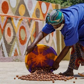 The Struggle to Save Africa’s Shea Butter Industry
