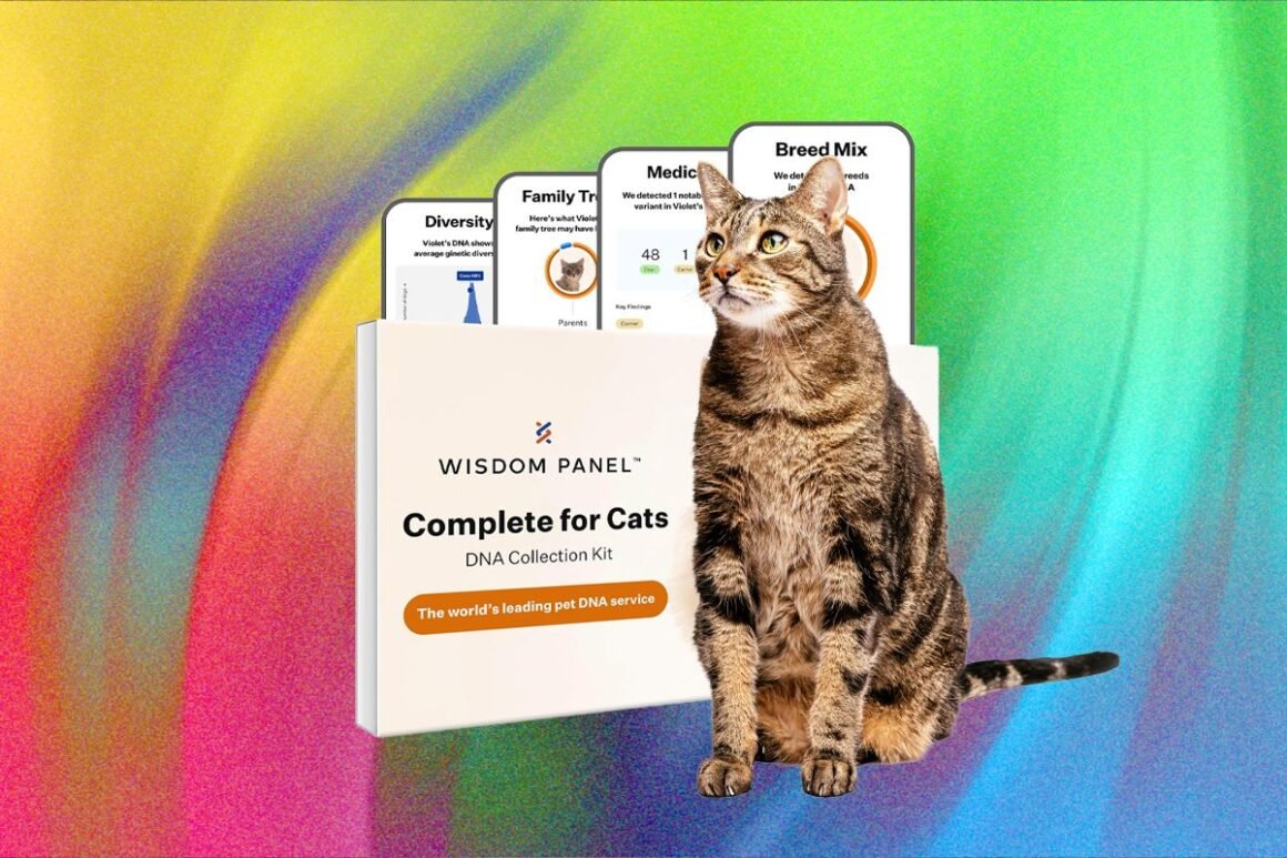 What’s the Best Pet DNA Test? We Tested the Most Popular Ones